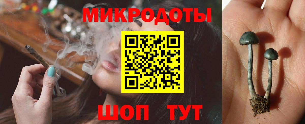 Рассказово  Псилоцибиновые грибы мухоморы  Вход с VPN 